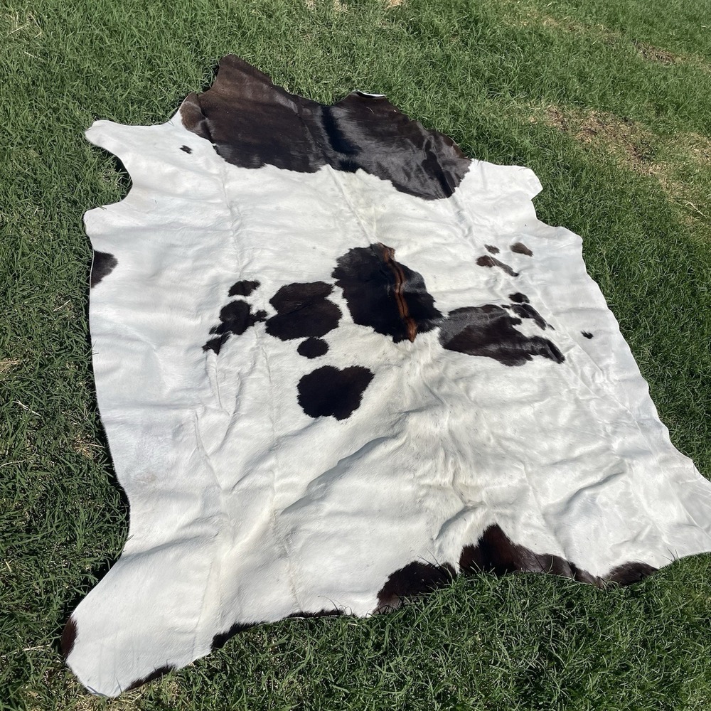 Striker The Brazilian Beauty! Veg Tanned Ethically Sources Genuine Cowhide!